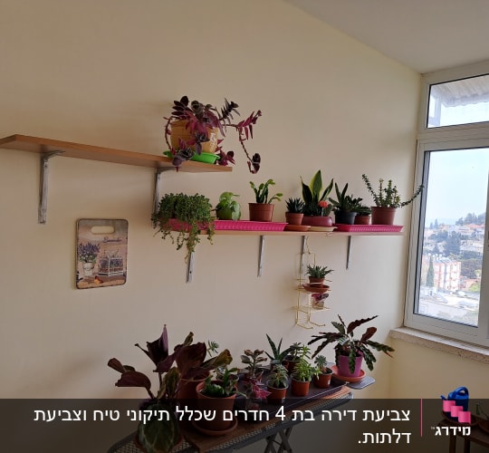 קיר עם מדפים ותמונה של ציור פרחים